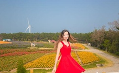 美国十次啦唐人导航